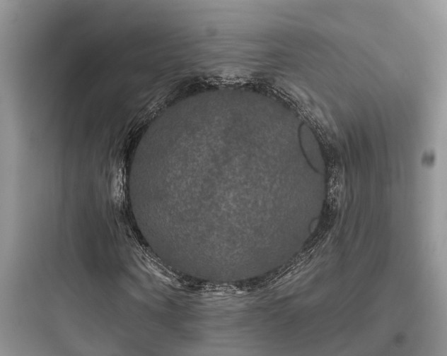 X0000097910866200803211503