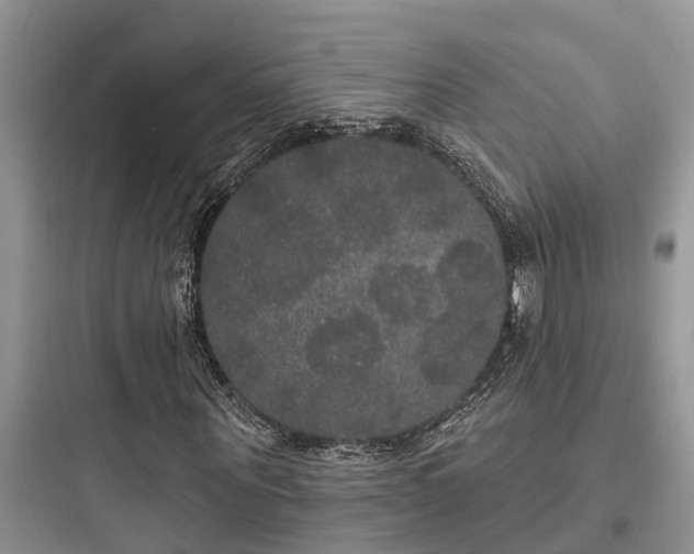 X0000097910867200803211503