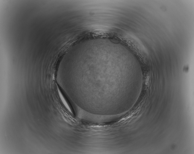 X0000097910868200803211503