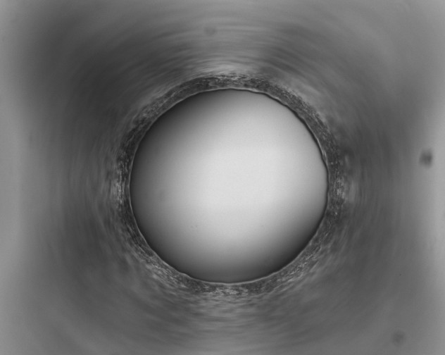 X0000097910869200803211503