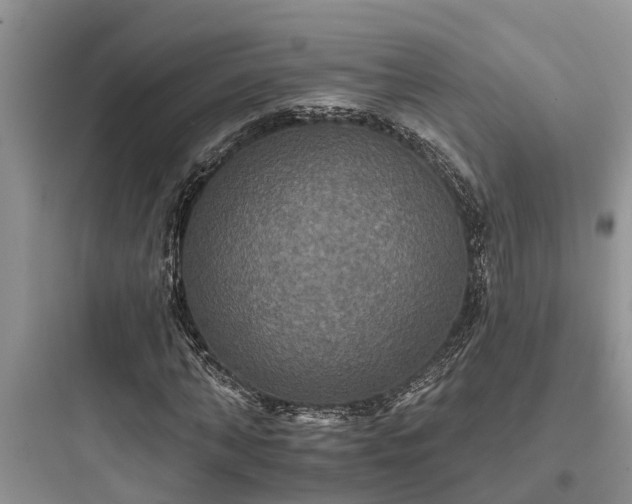 X0000097910870200803211503