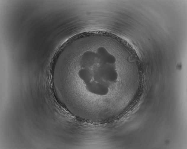 X0000097910871200803211503