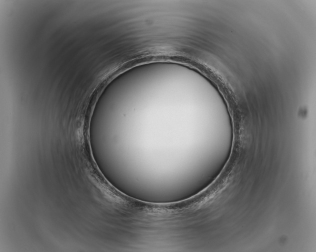 X0000097910873200803211503