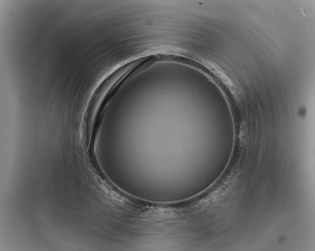 X0000097910877200803211502