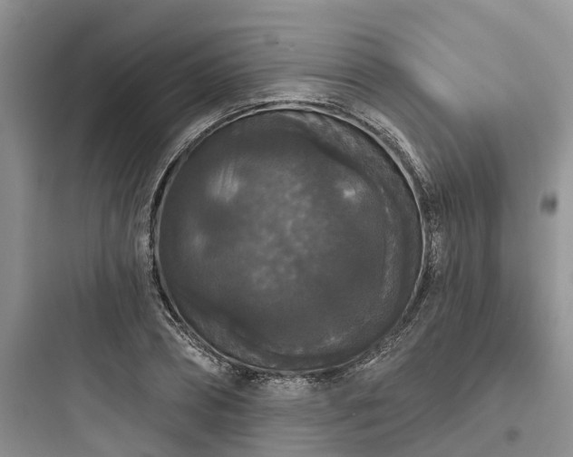 X0000097910882200803211502