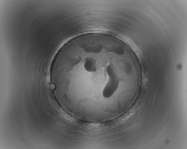 X0000097910883200803211502