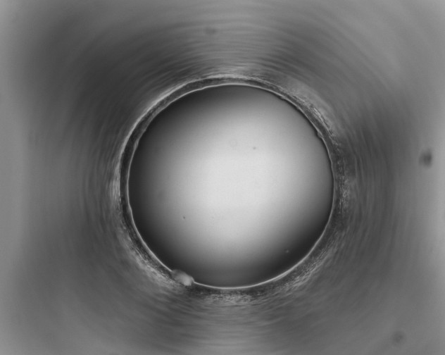 X0000097910884200803211502