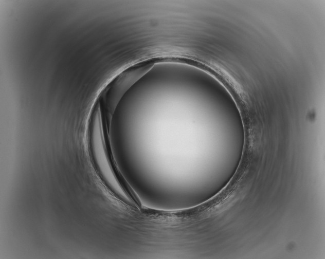 X0000097910885200803211502