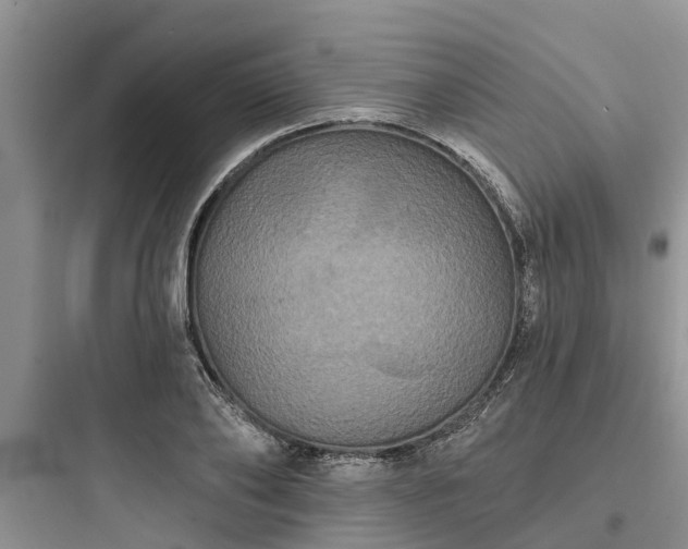 X0000097910886200803211502