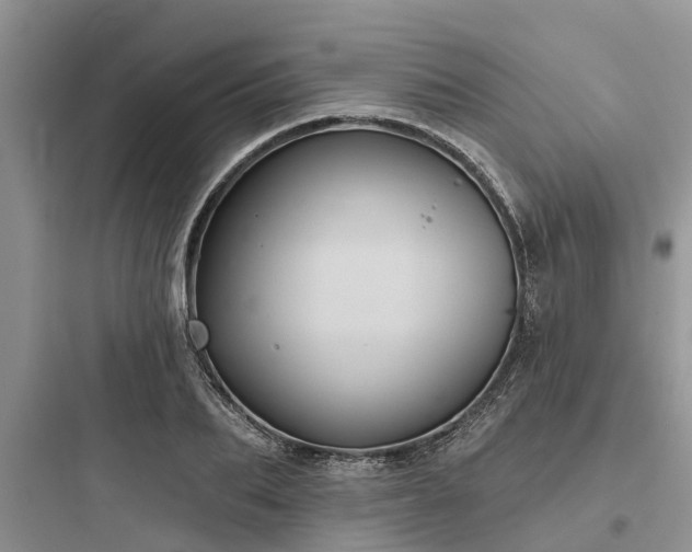 X0000097910887200803211502