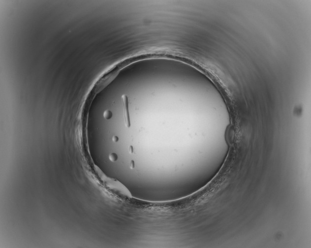 X0000097910888200803211502