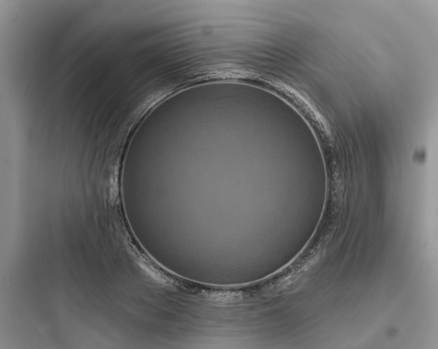 X0000097910889200803211502