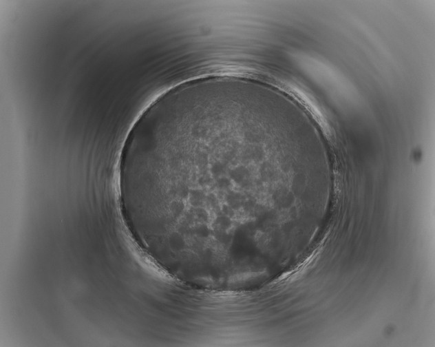 X0000097910891200803211502