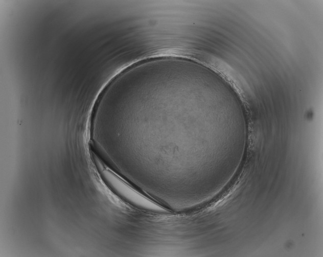 X0000097910892200803211502