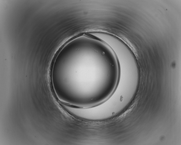 X0000097910893200803211502