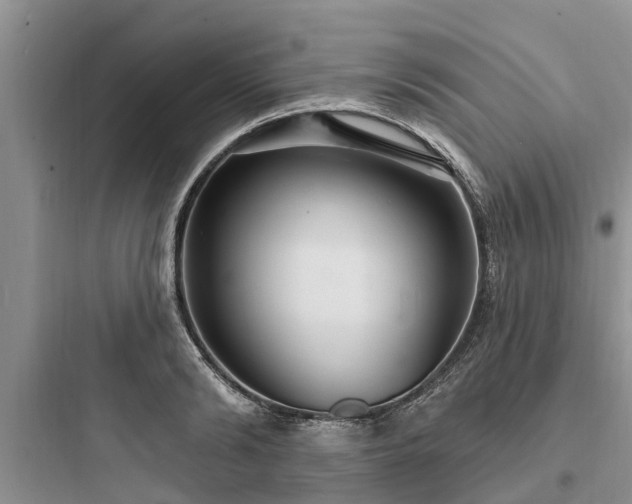 X0000097910894200803211502