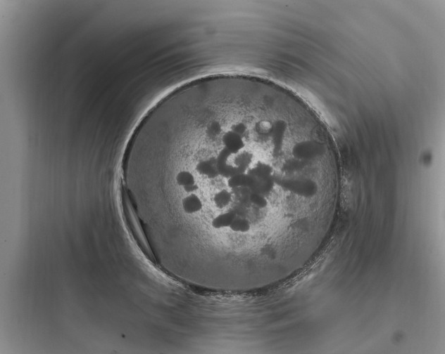 X0000097910895200803211502