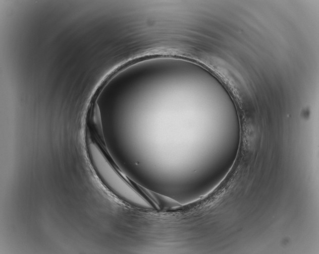 X0000097910896200803211502