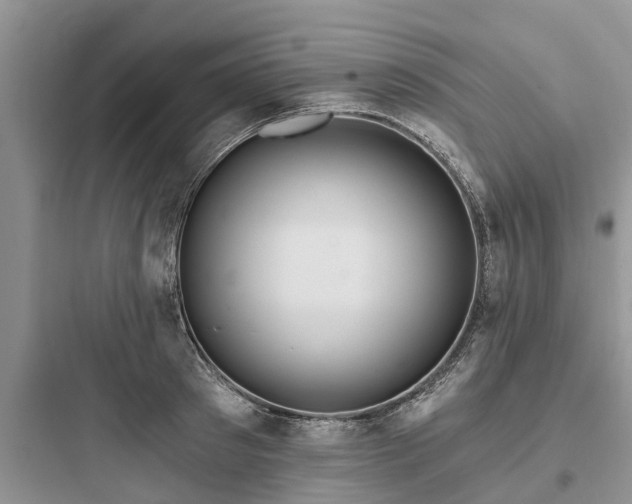 X0000097910897200803211502