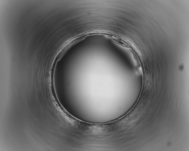 X0000097910898200803211502