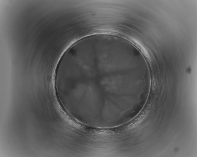 X0000097910899200803211502