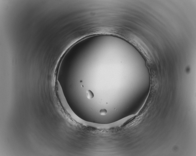 X0000097910900200803211502