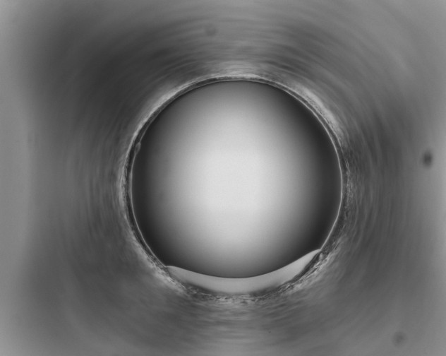 X0000097910901200803211502