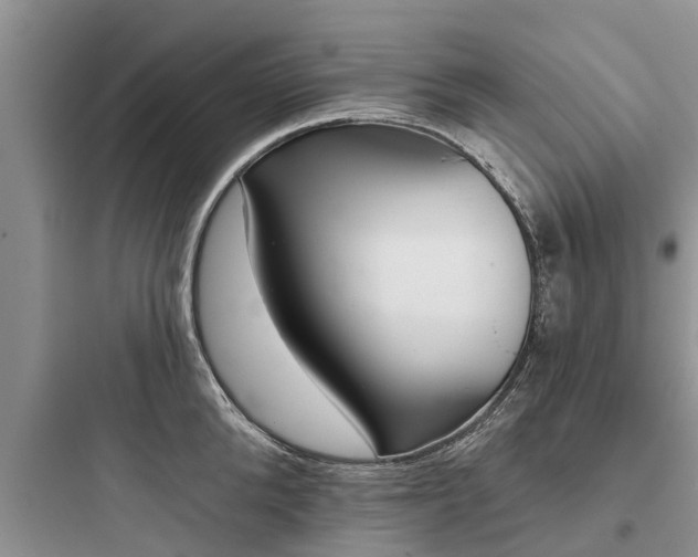 X0000097910904200803211502