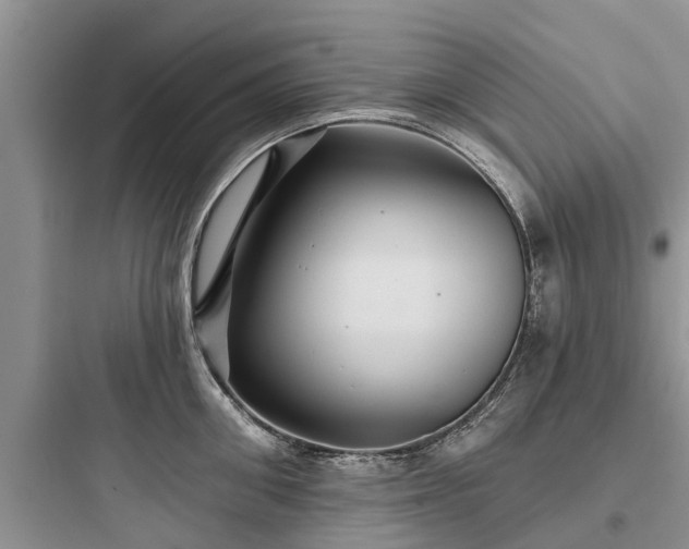 X0000097910906200803211502