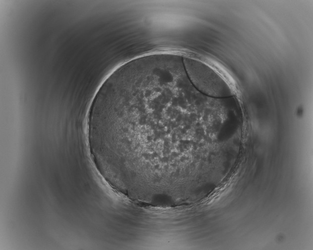 X0000097910907200803211502