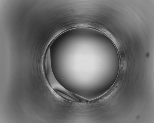 X0000097910909200803211502