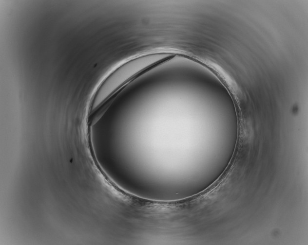 X0000097910910200803211502