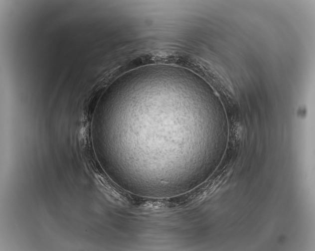 X0000097910914200803211501