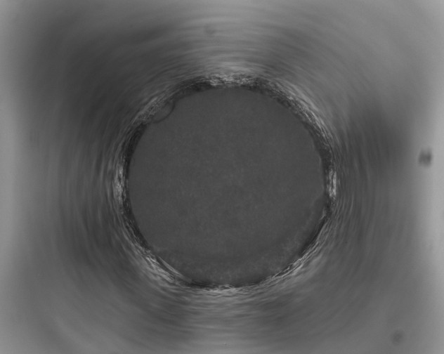 X0000097910915200803211501