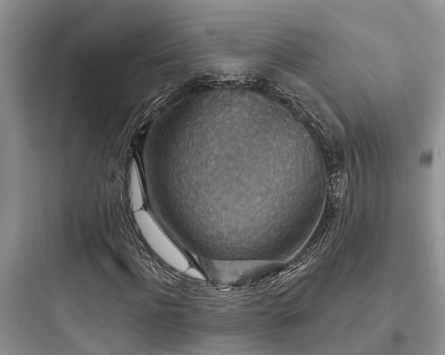 X0000097910916200803211501