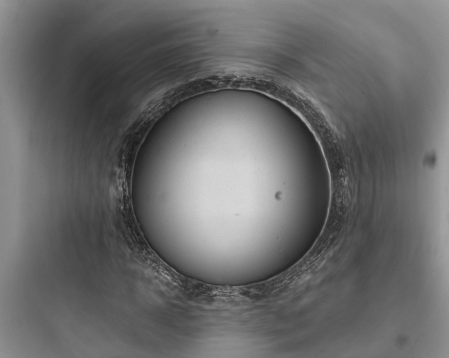 X0000097910918200803211501