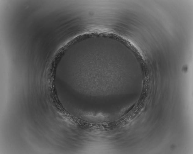 X0000097910919200803211501