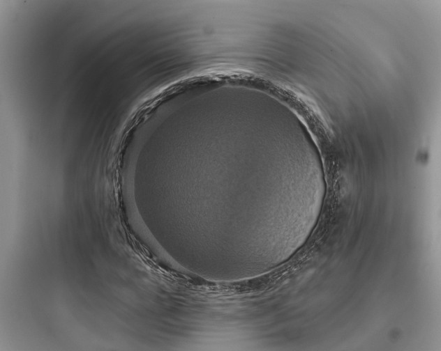 X0000097910920200803211501