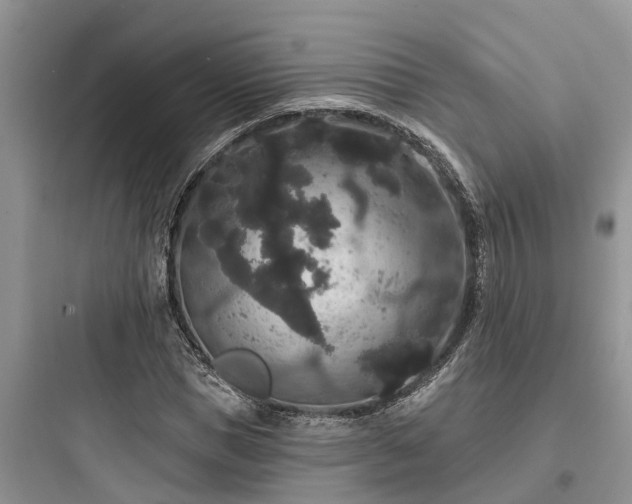 X0000097910921200803211501