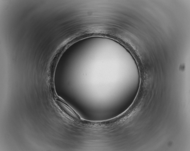 X0000097910922200803211501