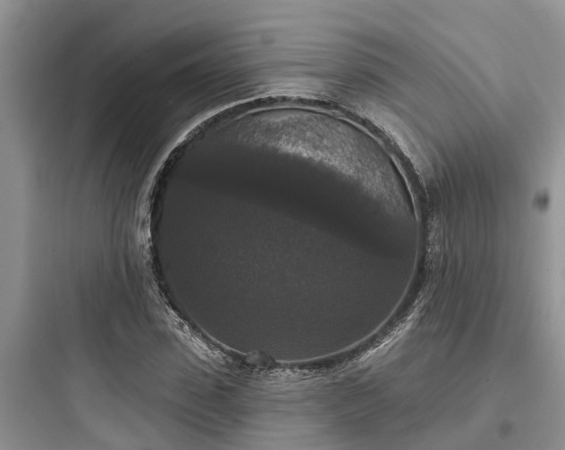 X0000097910923200803211501