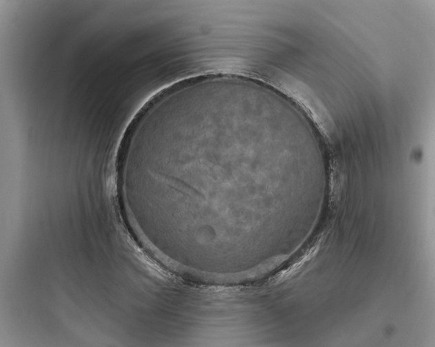 X0000097910924200803211501