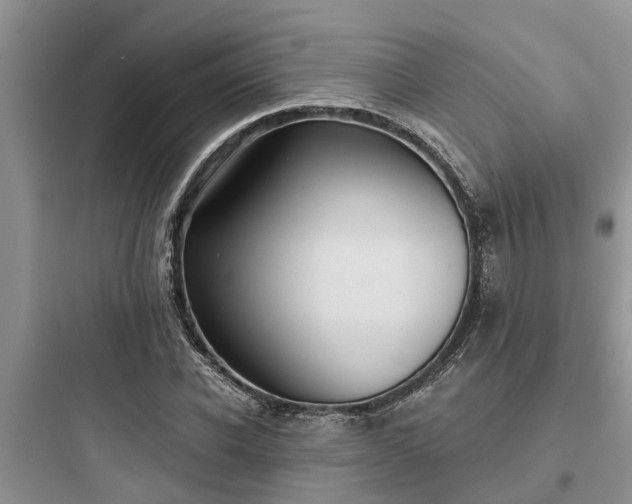 X0000097910926200803211501