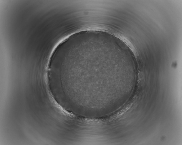 X0000097910928200803211501