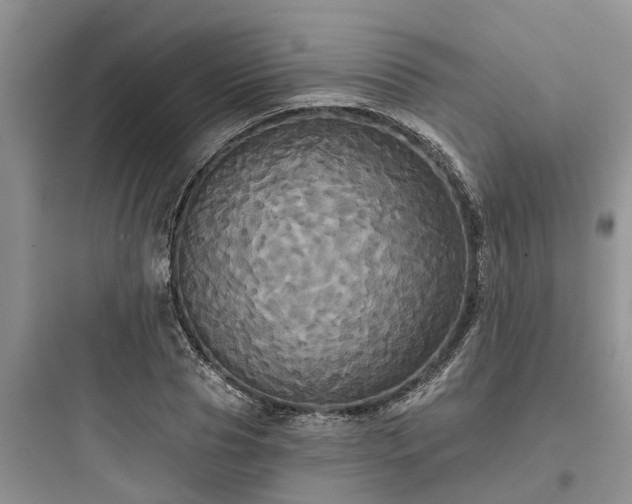 X0000097910929200803211501