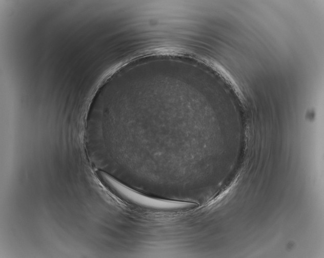 X0000097910930200803211501