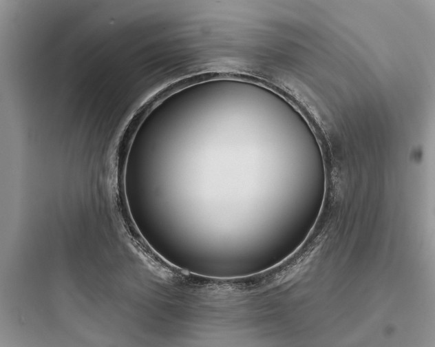 X0000097910931200803211501