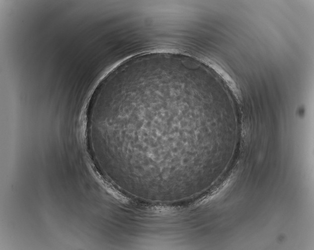 X0000097910933200803211501