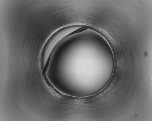 X0000097910934200803211501