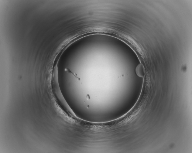 X0000097910938200803211501